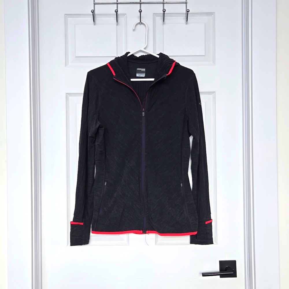 Icebreaker Merino Wool Zip Hoodie